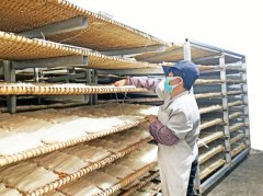 原料稳供 加工集聚 品牌增值 怀集岗坪切粉“求